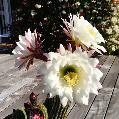 Le Grand Pavois Hotel 3*