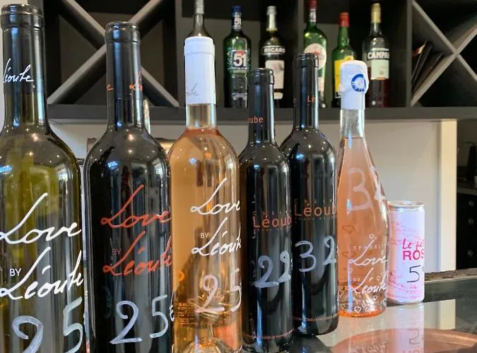 Hotel Le Grand Pavois 3*