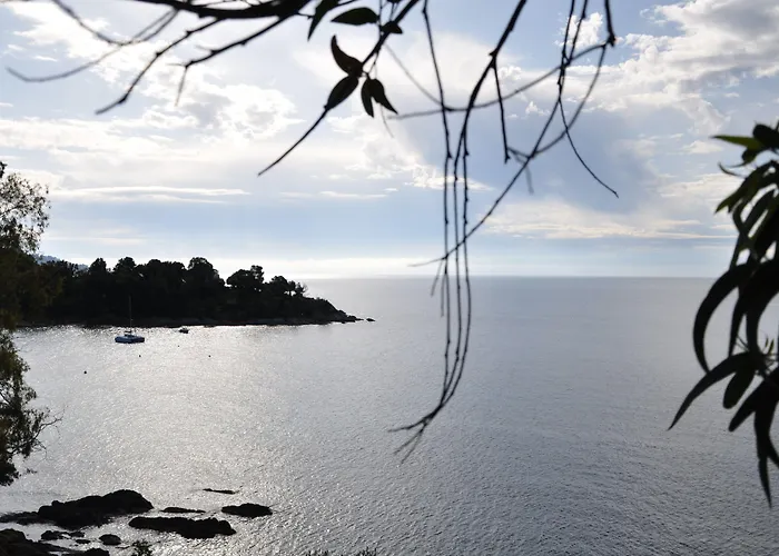 Le Grand Pavois Le Lavandou